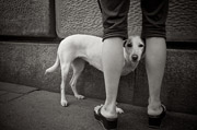 电话验证码轰炸免费